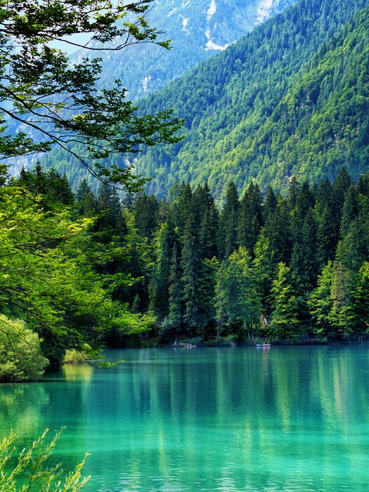 Poster Verticale landschap meer bos