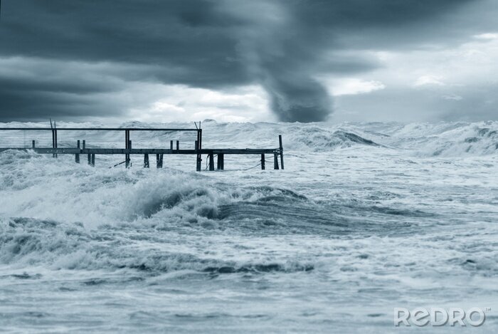 Poster Verwilderde natuur