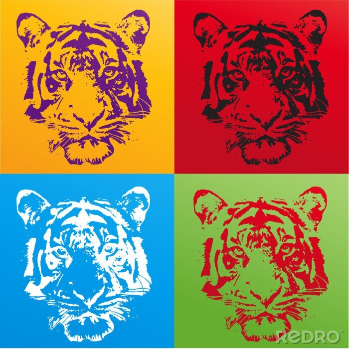 Poster Vier gezichten van een tijger
