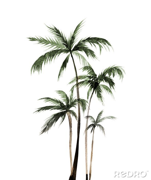Poster Vijf palmen aquarel schilderij