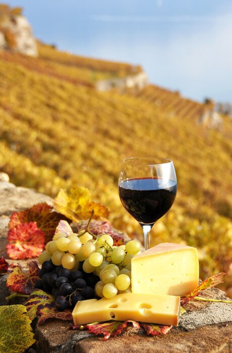 Poster Vintage en kaasplankje