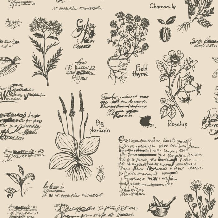 Poster Vintage herbarium