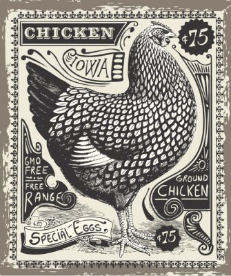 Poster Vintage illustratie van een kip