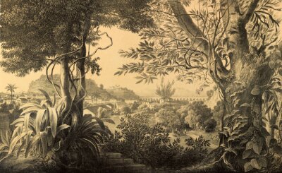 Fotobehang Vintage landschapsplanten bomen natuur