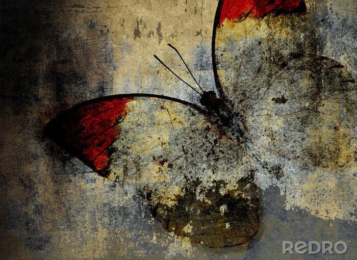 Poster vintage vlinder