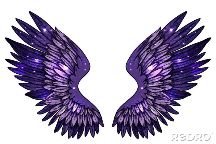 Poster Violetblauwe vleugels die sterren reflecteren