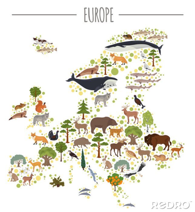 Poster Vlakke Europese flora en fauna kaart constructor elementen. Dieren, vogels en het zeeleven op witte grote reeks worden geïsoleerd die. Bouw uw eigen Infographics-collectie voor geografie