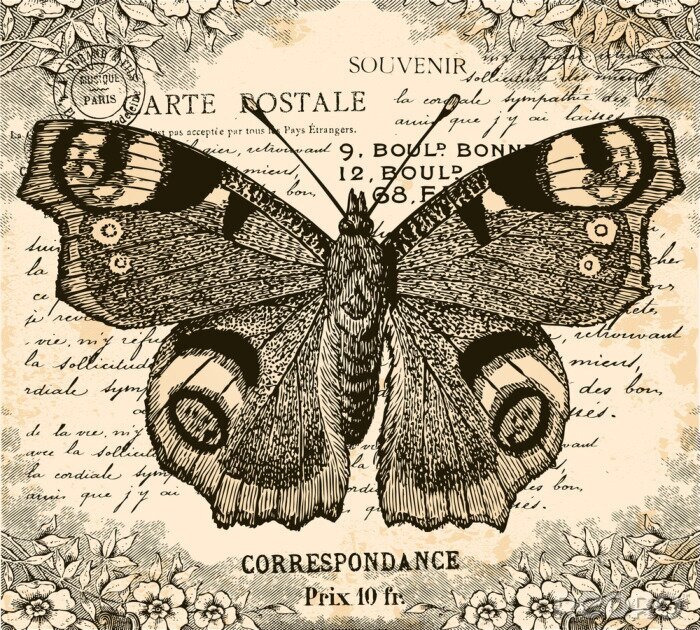 Poster Vlinder in retrostijl