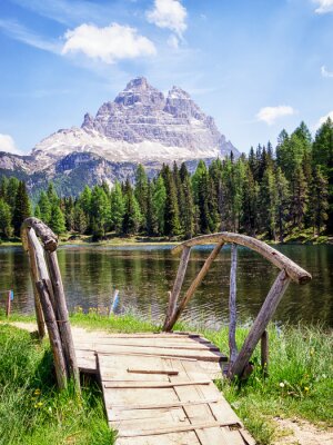 Voetgangersbrug op een weide in de bergen