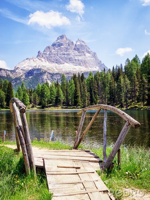 Poster Voetgangersbrug op een weide in de bergen