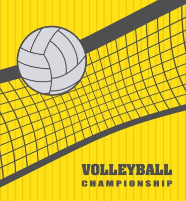 Poster volleyballbal
