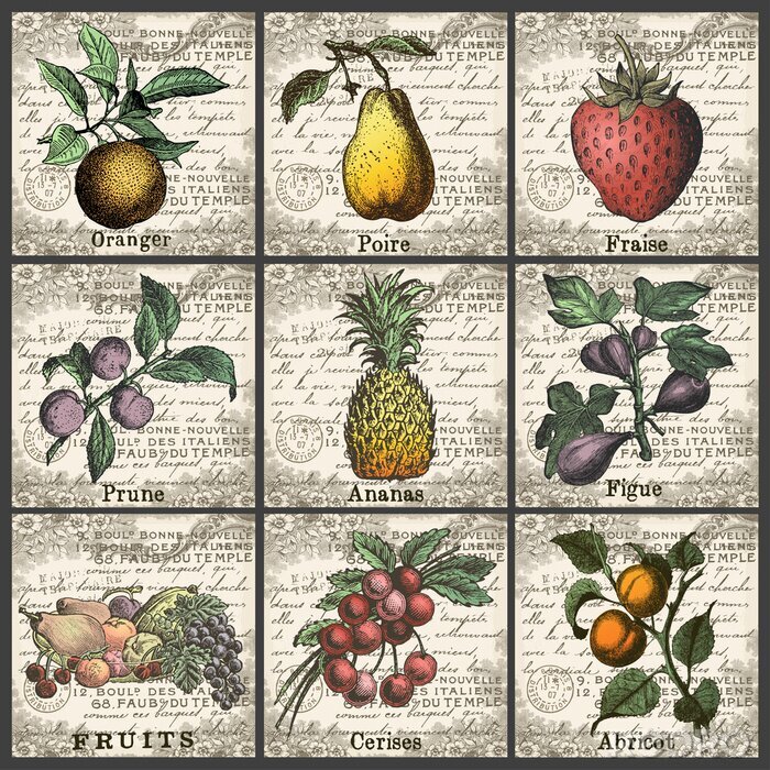 Poster Vruchten Collection