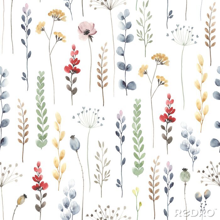 Poster Watercolor floral seamless pattern with colorful wildflowers, leaves and plants. Illustration on white background in vintage style.