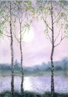 Poster Watercolor landscape. Spring birch trees near the river