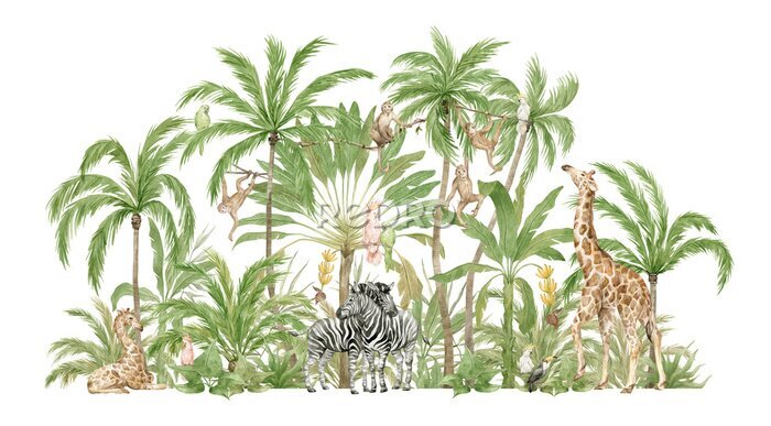 Poster Watercolor safari animals and tropical palms. Jungle compositions. Giraffe, zebra, monkey, parrot. Brigth summer exotic jungle. 