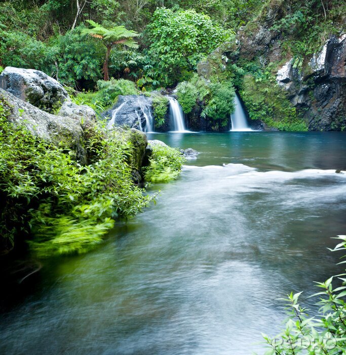 Poster Waterval en rivier