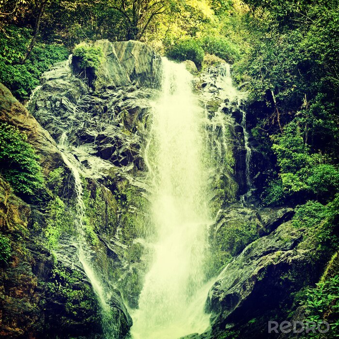 Poster Waterval met groene schaduw