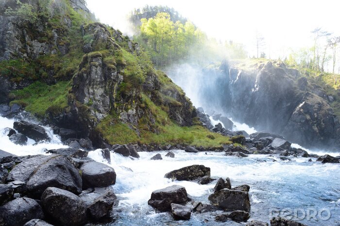 Poster Waterval, mist en groen