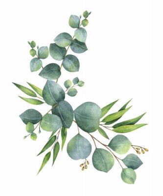 Waterverf vectorkroon met groene eucalyptusbladeren en takken.