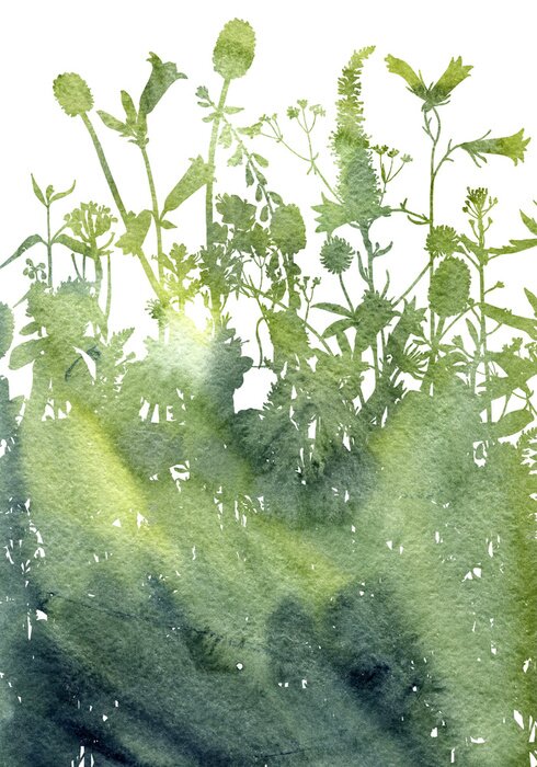 Poster Waterverfachtergrond met tekeningskruiden en bloemen