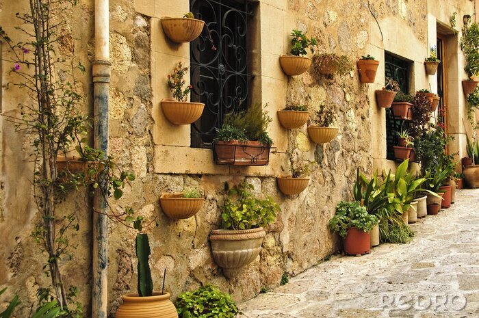 Poster weergave van Valldemossa, Mallorca, Spanje