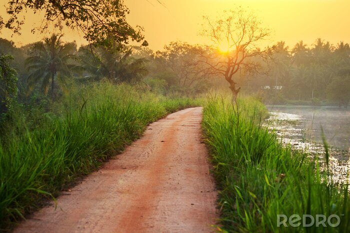 Poster Weg en veld naast een rivier