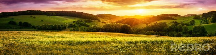Poster Weiden bij zonsondergang