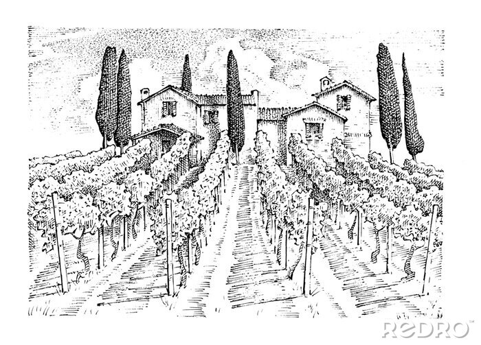Poster Wijngaard in Toscane op een schets