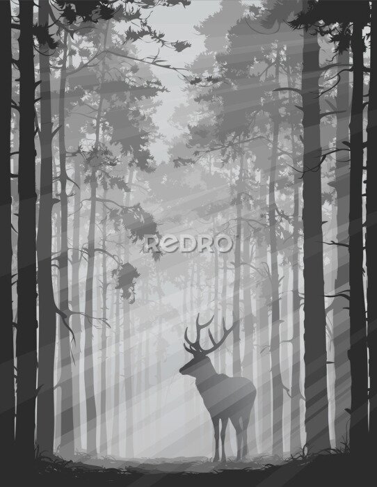 Poster Wild dier in monochroom bos