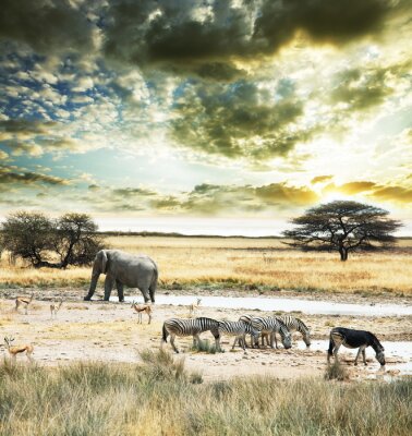 Wild dier op een savanne