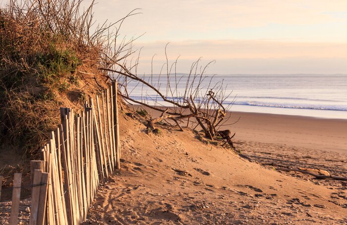 Poster Wild strand bij zonsondergang