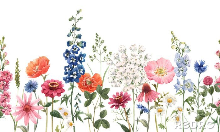 Poster Wildbloempatroon in aquarel