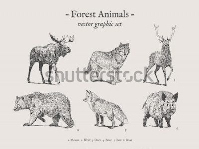Poster Wilde bosdieren