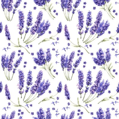 Wildflower lavendel bloempatroon in een aquarel stijl geïsoleerd.