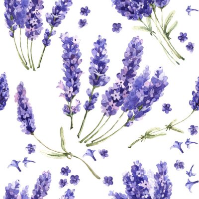 Behang Wildflower lavendel bloempatroon in een aquarel stijl geïsoleerd.