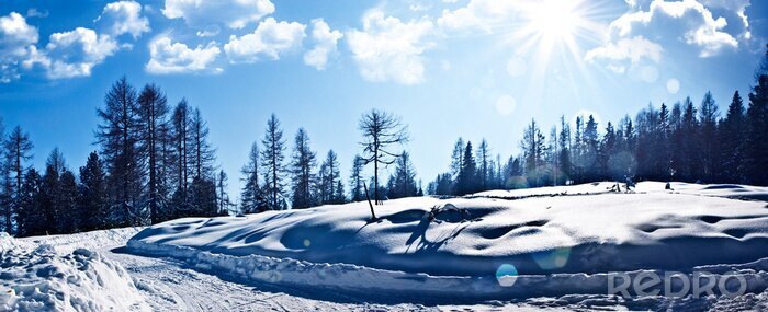 Poster winter mysticus 1