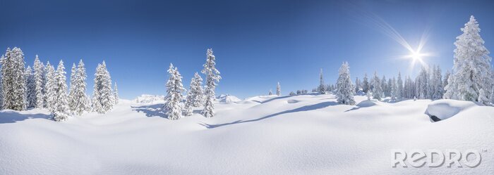 Poster Winter wolkenloze hemel boven de sneeuwbanken