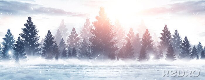 Poster Winterbos gezien tegen de zon