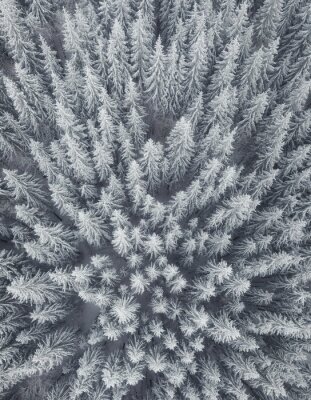 Poster Winterlandschap vanuit de lucht. Bos als achtergrond
