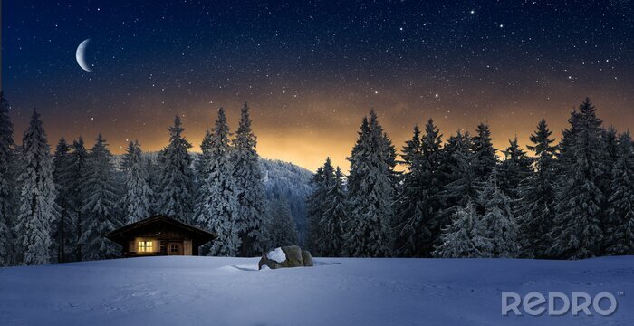 Poster Winternachthemel boven het bos