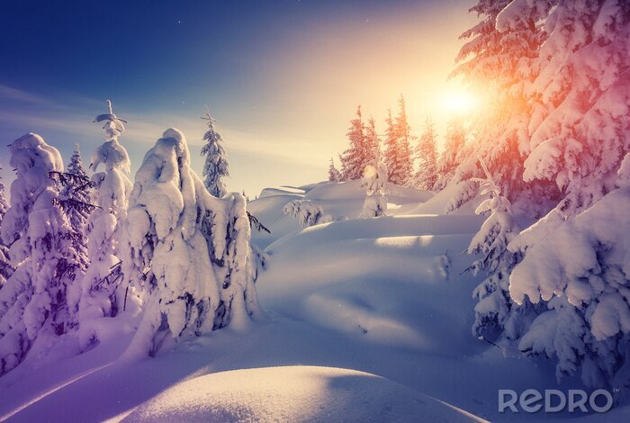 Poster Winterpanorama bij zonsopgang
