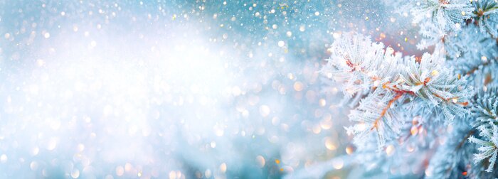 Poster Wintertakje bedekt met rijm