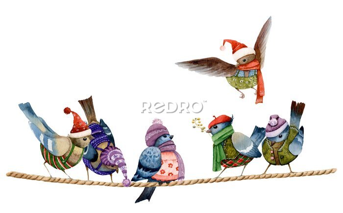 Poster Wintervogels in hoeden