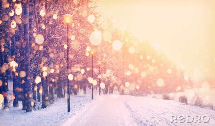 Poster Winterweg in warm licht
