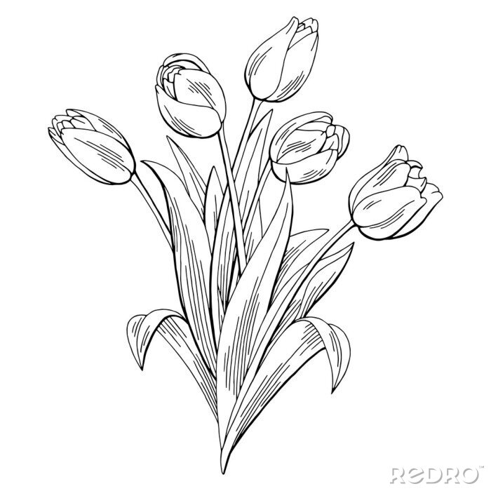Poster Wit tulpen minimalistisch boeket