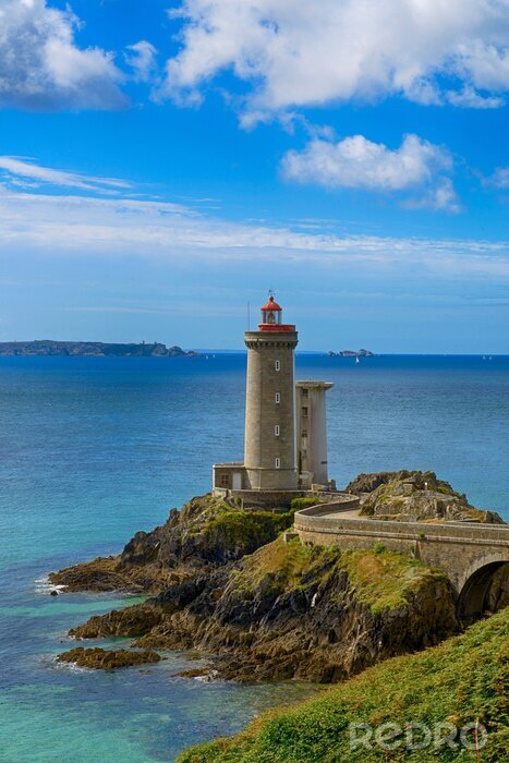 Poster Witte kraanvogel boven de zee
