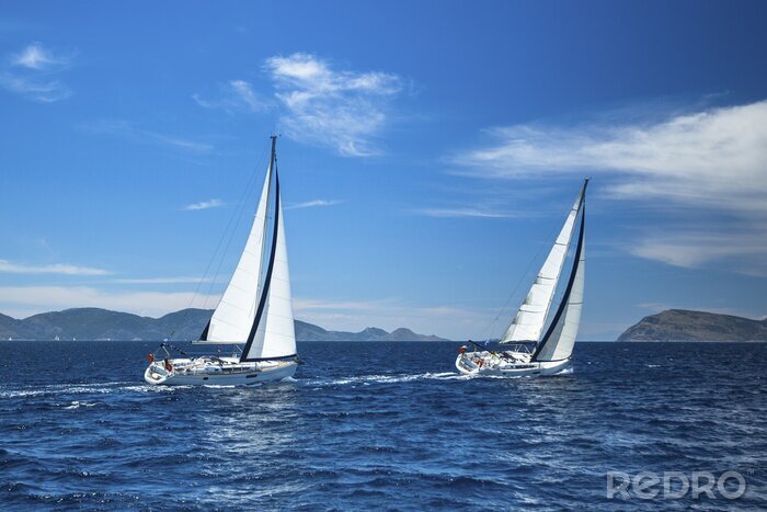 Poster Witte luxe zeilschepen