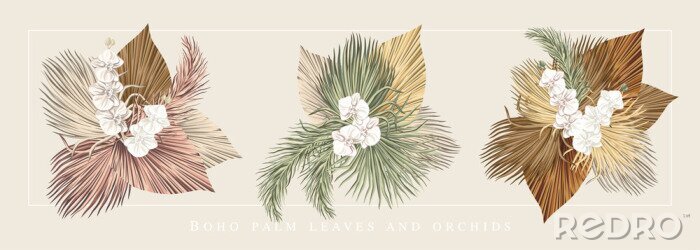 Poster Witte orchidee en beige bladeren