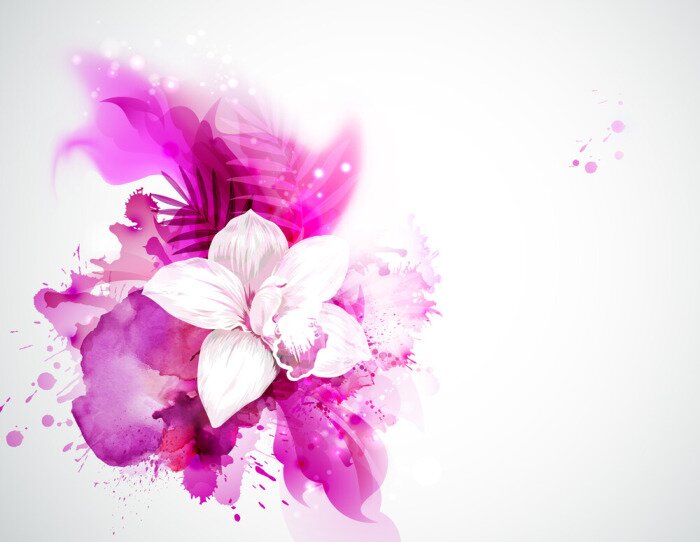 Poster Witte orchidee op fuchsia verfvlekken