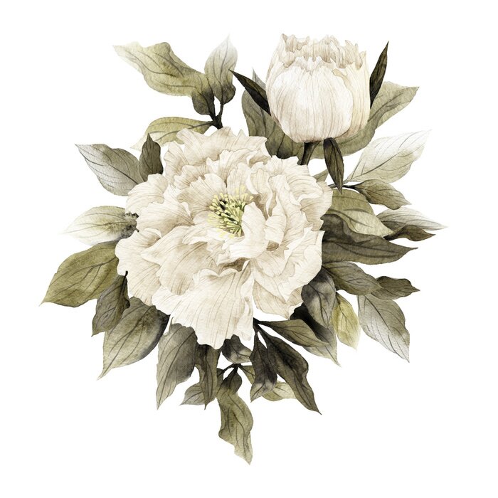 Poster Witte pioenrozen beschilderd met watertechniek